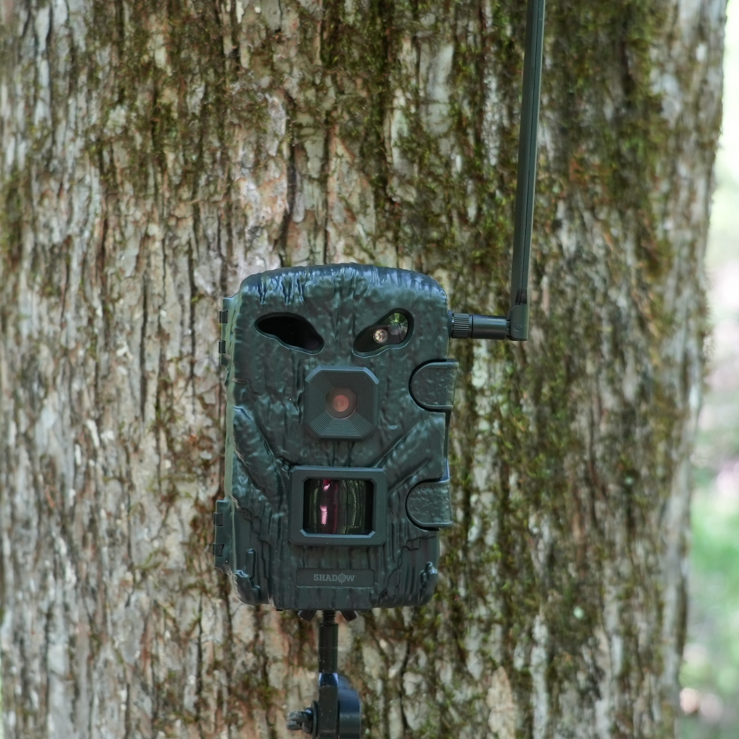 Shadow Cellular Trail Camera